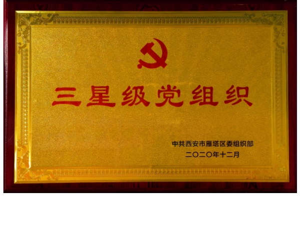雁塔区委组织部-三星级党组织